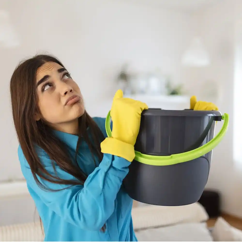 water damage restoration service Amberley